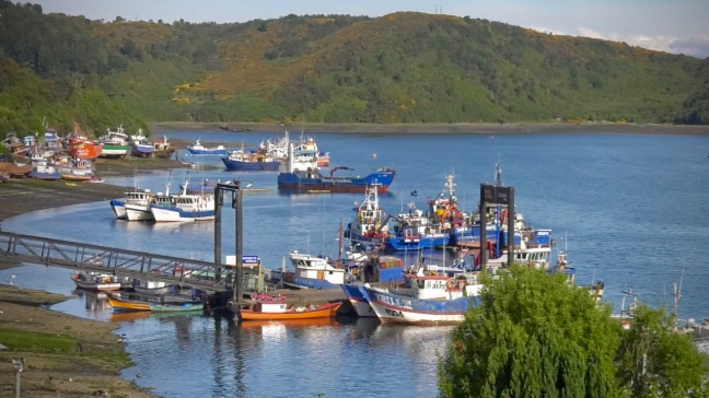 Apoyan creación de comisiones fílmicas en ocho regiones del país