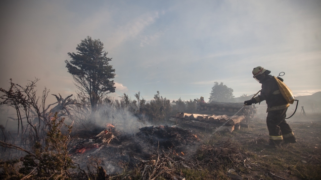 Conaf: 9 incendios forestales se mantienen activos en el país