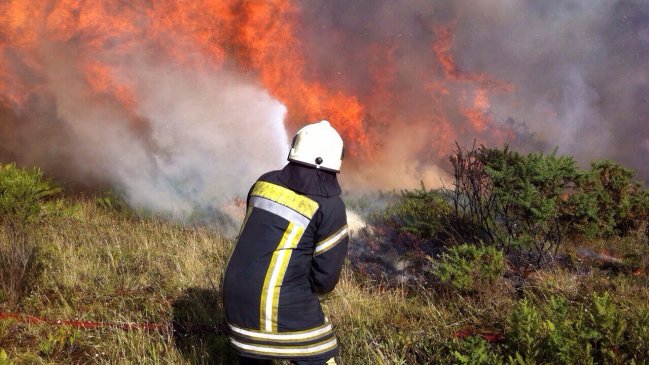 Alerta roja para Quintero por incendio forestal que amenaza a viviendas