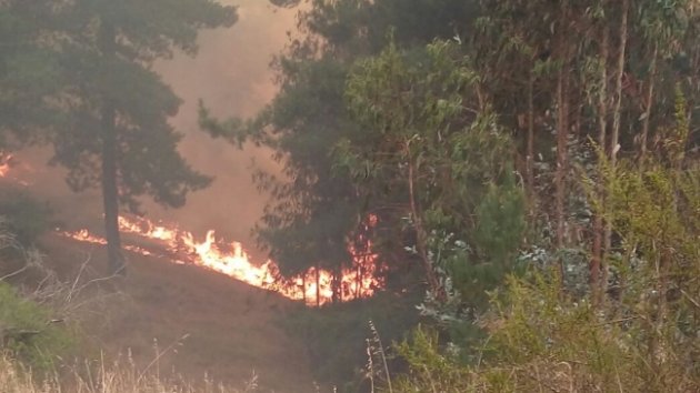 Incendios forestales mantienen en alerta a gran parte del país