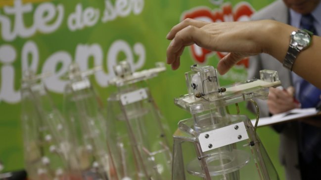 Conoce a los 12 ganadores de 