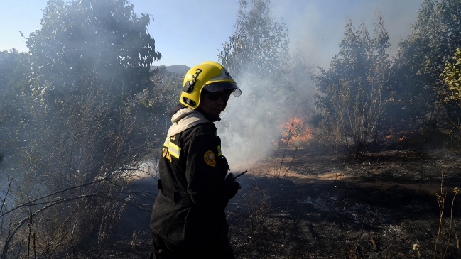 Voluntario de Bomberos resultó lesionado en incendio forestal en San Antonio