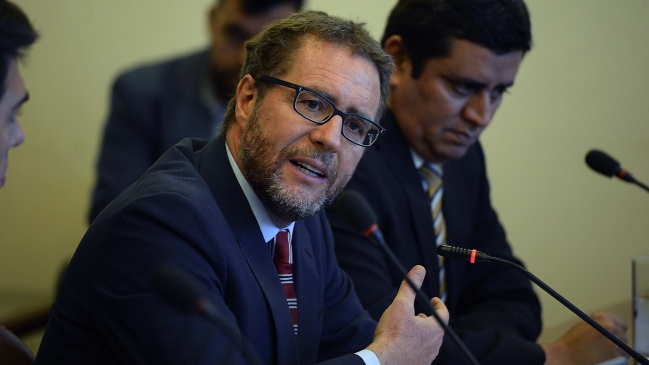 Colusión de los pañales: FNE defendió ante diputados el cierre del caso