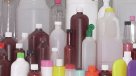 Ingeniera lusa patenta envases biodegradables a partir de hongos