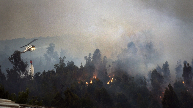 Alerta roja por incendio forestal en Quilpué