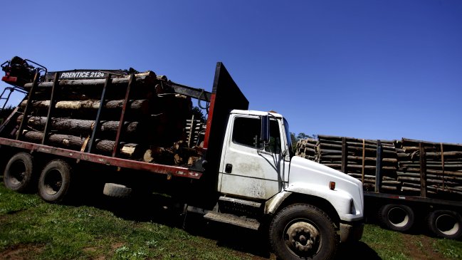 Contratistas forestales piden estado de excepción en Tirúa