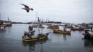 Pescadores de Arica presentaron denuncia en Superintendencia por contaminación