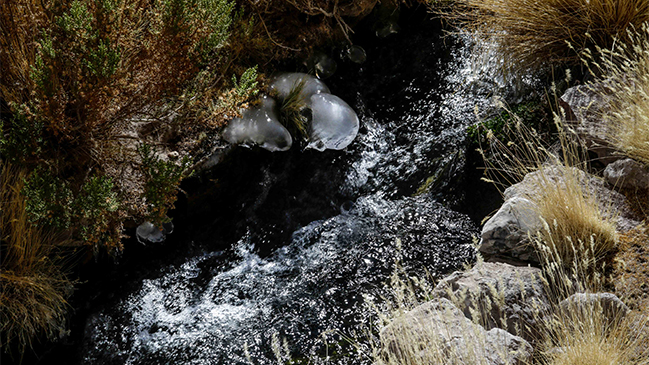 Bolivia respondió a Chile: Se les va a poner cuesta arriba querer convencer a La Haya