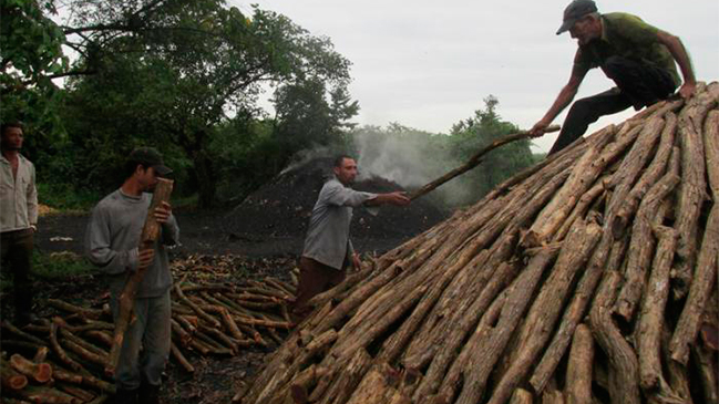 Imagen foto_00000016