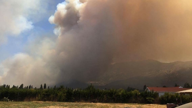 Alerta roja por incendio forestal en Padre Hurtado