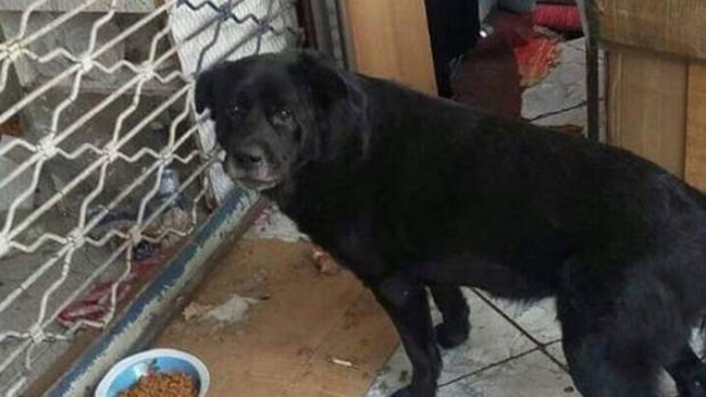 Fiscalía tiene antecedentes 