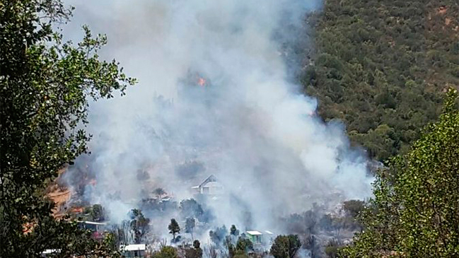 Quilpué: Declaran alerta roja por incendio forestal en Colliguay
