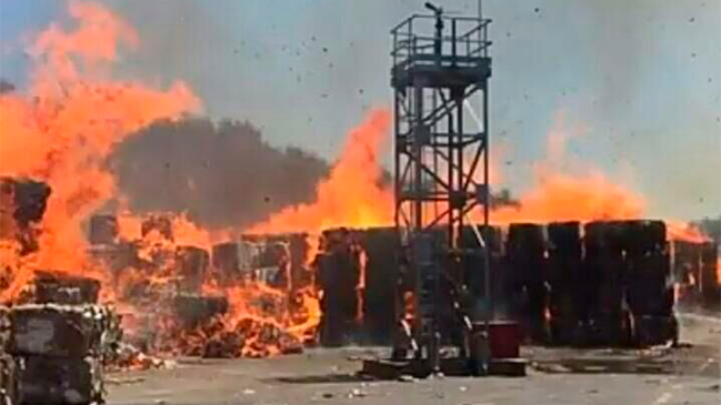 Coronel: Incendio afecta a bodega de la Papelera Concepción