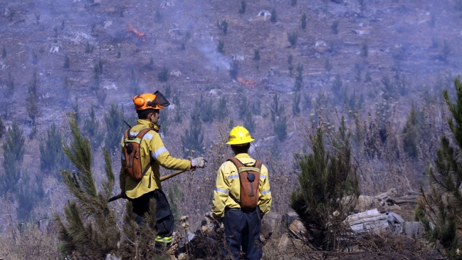 Tres brigadistas de Conaf murieron en combate de incendio forestal en Vichuquén