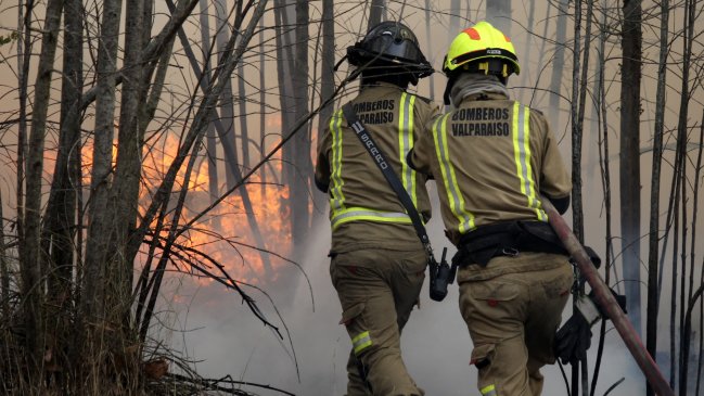 Sindicato de Conaf culpó a las autoridades por muerte de brigadistas