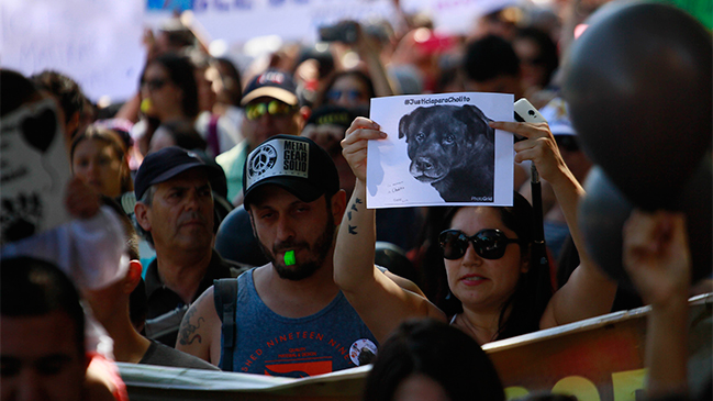 Alcalde de Recoleta interpuso querella por agresión contra 