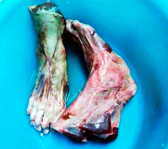 Imagen foto_00000015