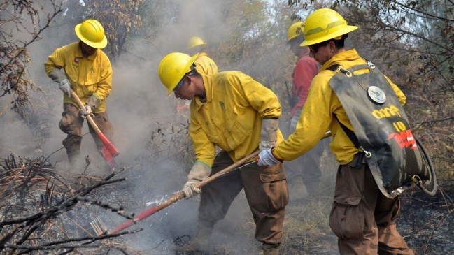 Preparación insuficiente y nulos protocolos: Las carencias que denuncian brigadistas de Conaf