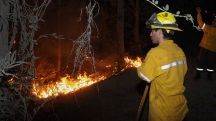   Sindicato de Brigadistas de Conaf: No tenemos el equipamiento adecuado 