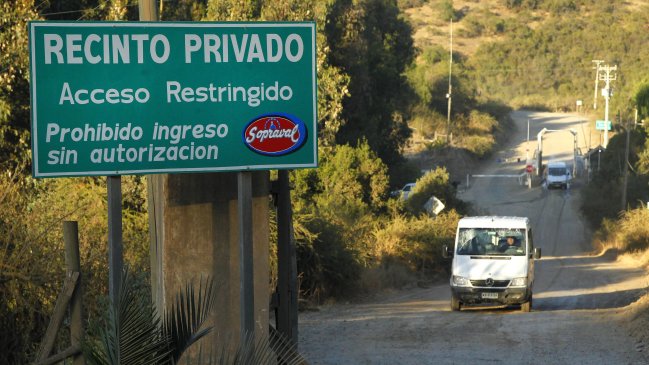 SAG confirmó foco de gripe aviar en otra granja de Sopraval