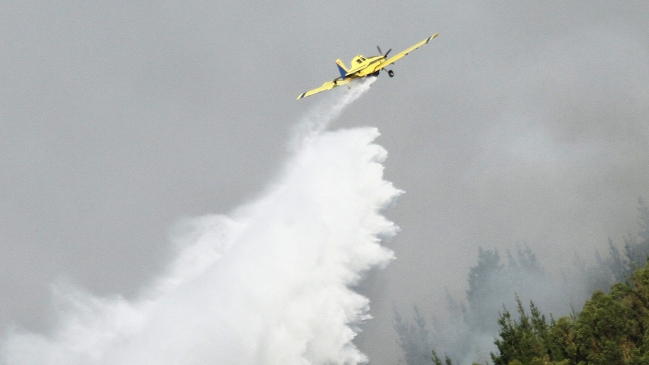 Incendios forestales causan nueva tragedia: Hombre murió en Galvarino