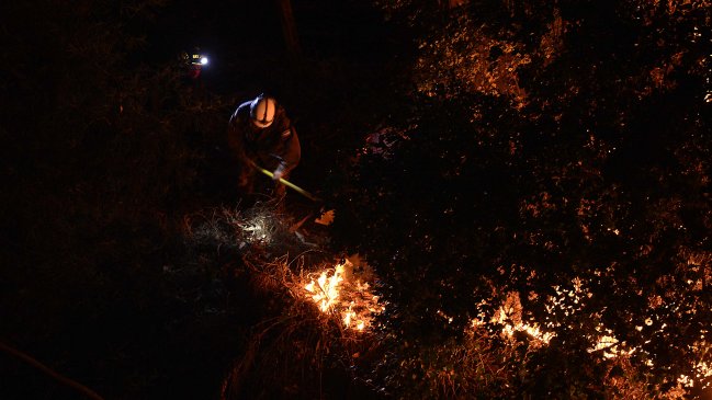 Provincia de Colchagua vivió dura jornada producto de incendios forestales