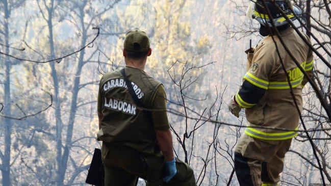 Investigan incendio en cerro San Cristóbal
