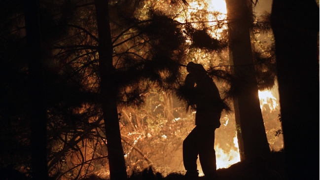 Alcalde Constitución: Nos estábamos poniendo de pie y todo se nos fue a la cresta