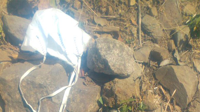 Conaf denunció hallazgo de 