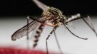 Brasil anunció cierre de cuatro parques naturales por riesgo de fiebre amarilla