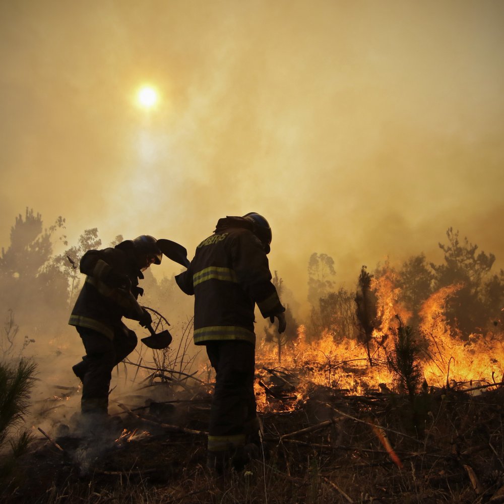 Bombero falleció en accidente cuando iba a combatir un incendio forestal en San Fabián