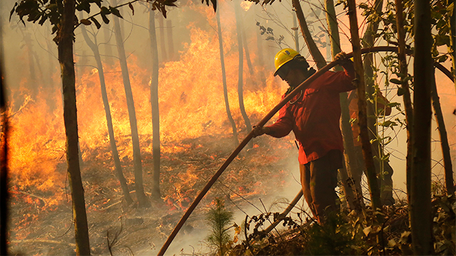 Alcalde de Hualañé: Lo que no está quemado está en llamas