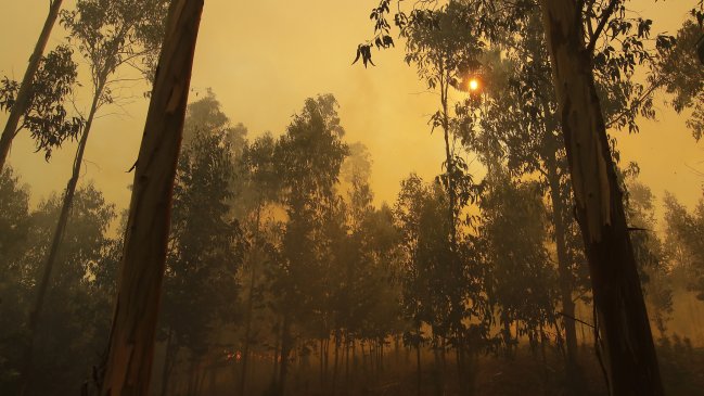 Nueva ola de calor se extenderá entre las regiones de Valparaíso y Los Lagos