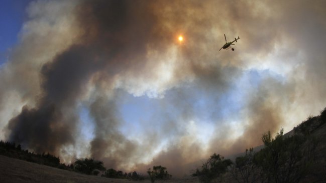 Balance de Conaf: 65 incendios forestales siguen en combate