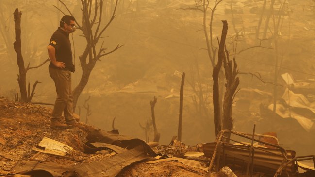 Incendios forestales: Encontraron cuerpo de un hombre en sector de Constitución