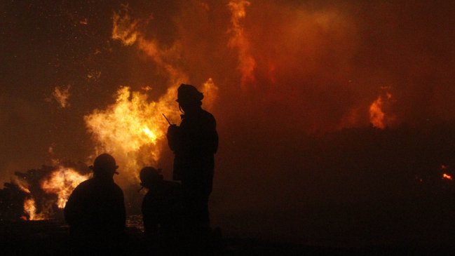 Detenido por incendio forestal en Curanilahue quedó en prisión preventiva