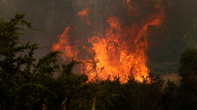 Nuevo foco de incendio en Hualqui preocupa a las autoridades