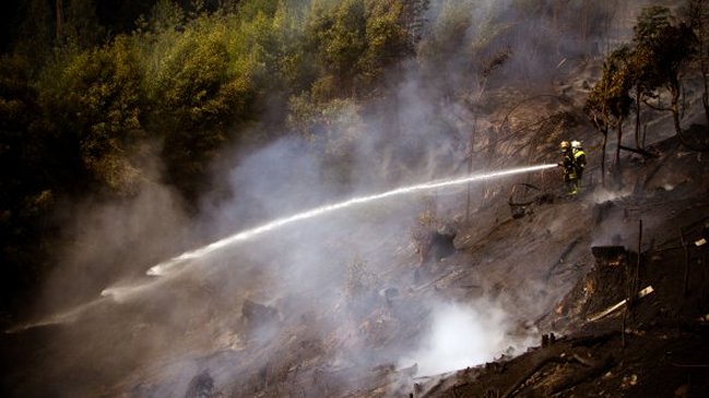 Conaf desconoce el origen del humo sobre Santiago
