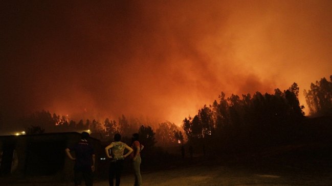 En libertad quedó joven detenido por incendio forestal en Hualqui