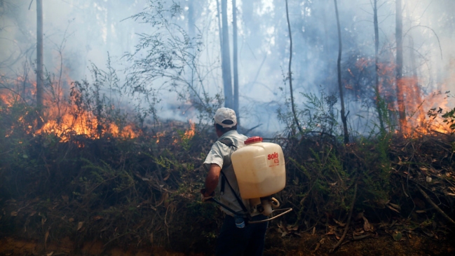 Justicia ordenó liberar a sospechoso de intentar iniciar incendio forestal en Licantén