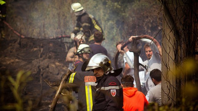 Conaf informó que 58 incendios forestales se encuentran en combate