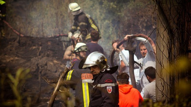 Conaf informó que 58 incendios forestales se encuentran en combate
