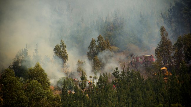 Corma pidió no hacer caso a rumores que 