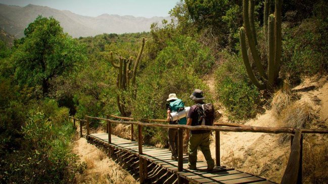 Federación de Andinismo de Chile entregó recomendaciones para evitar accidentes en cerros