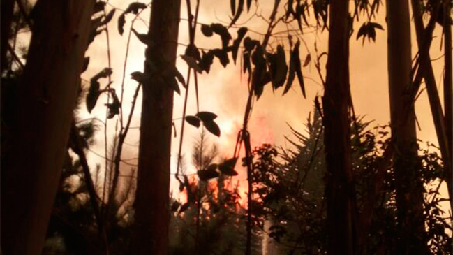 Fiscalía ordenó detener a 6 trabajadores de subcontratista eléctrica por incendio en Navidad