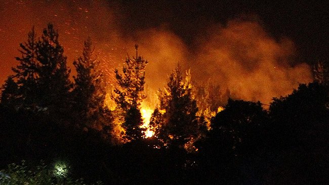 Fiscalía confirmó intencionalidad de incendio del Cerro Ñielol de Temuco