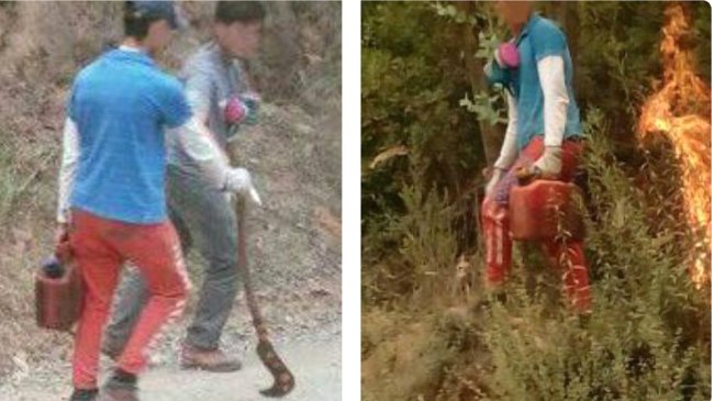 Incendios: Carabineros borró tuit y causa polémica