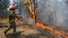 CGE rechazó formalización de gerente por incendio forestal
