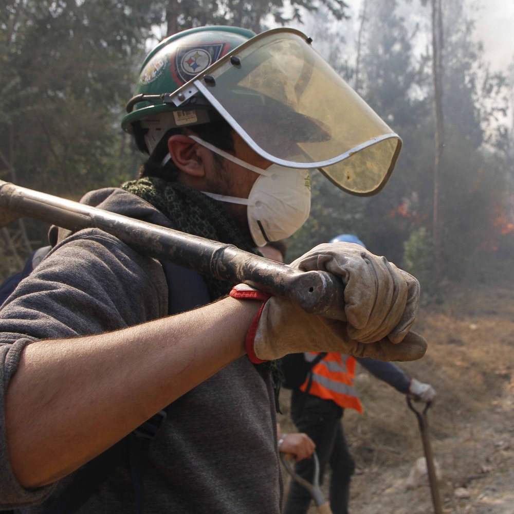 Incendios forestales: Minsal realiza catastro para resolver necesidades de afectados
