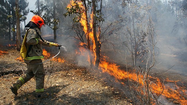 En libertad quedaron trabajadores de CGE acusados de iniciar incendio en Navidad